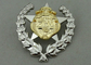 De Medaille van de de Legeringsdouane van het legerzink kent 2 die PCs toe met het Dubbele Tonen Plateren worden gecombineerd