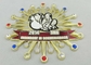 65mm de Medaille Imitatie Hard Email van het Gouden Platerenemail, Valse Gesmolten Steen