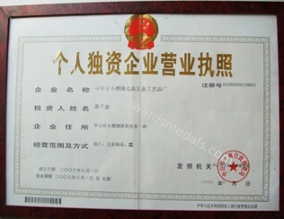 China pins centre company ltd Certificaten